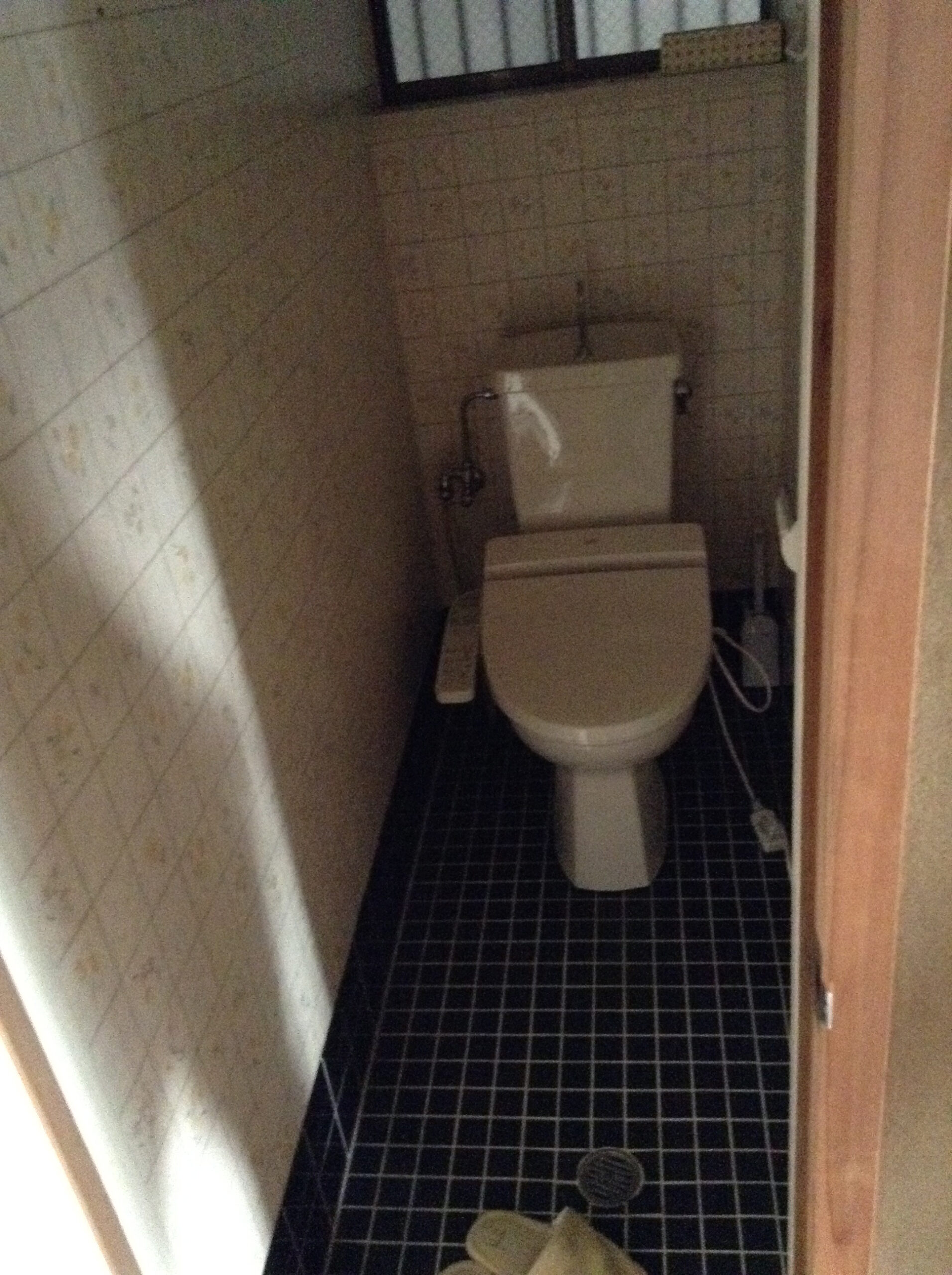 Before画像