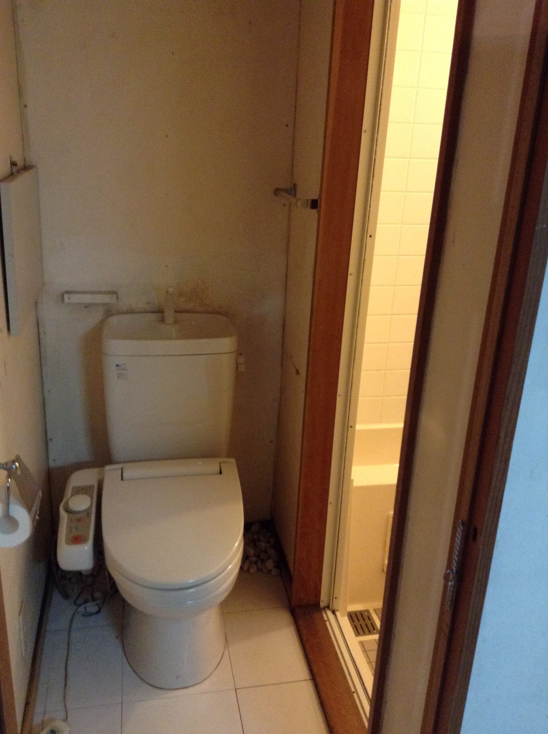 Before画像